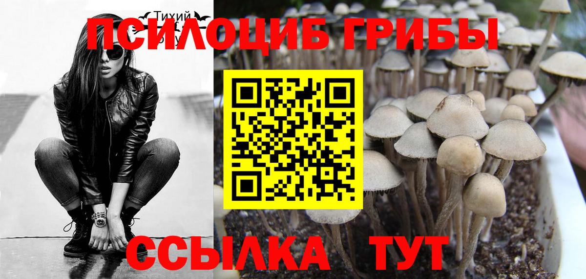 Галлюциногенные грибы мухоморы  Галлюциногенные грибы GOLDEN TEACHER  Шуя  Вход с VPN 