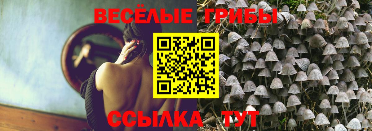 Псилоцибиновые грибы GOLDEN TEACHER Шуя